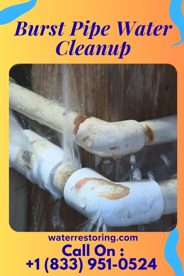 Burst Pipe Water Cleanup in Blackwell, TX