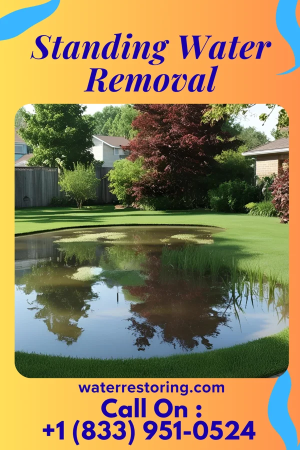 Standing Water Removal in Blackwell, TX